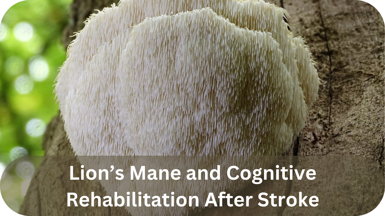 Lion’s Mane mushroom aiding cognitive rehabilitation after stroke