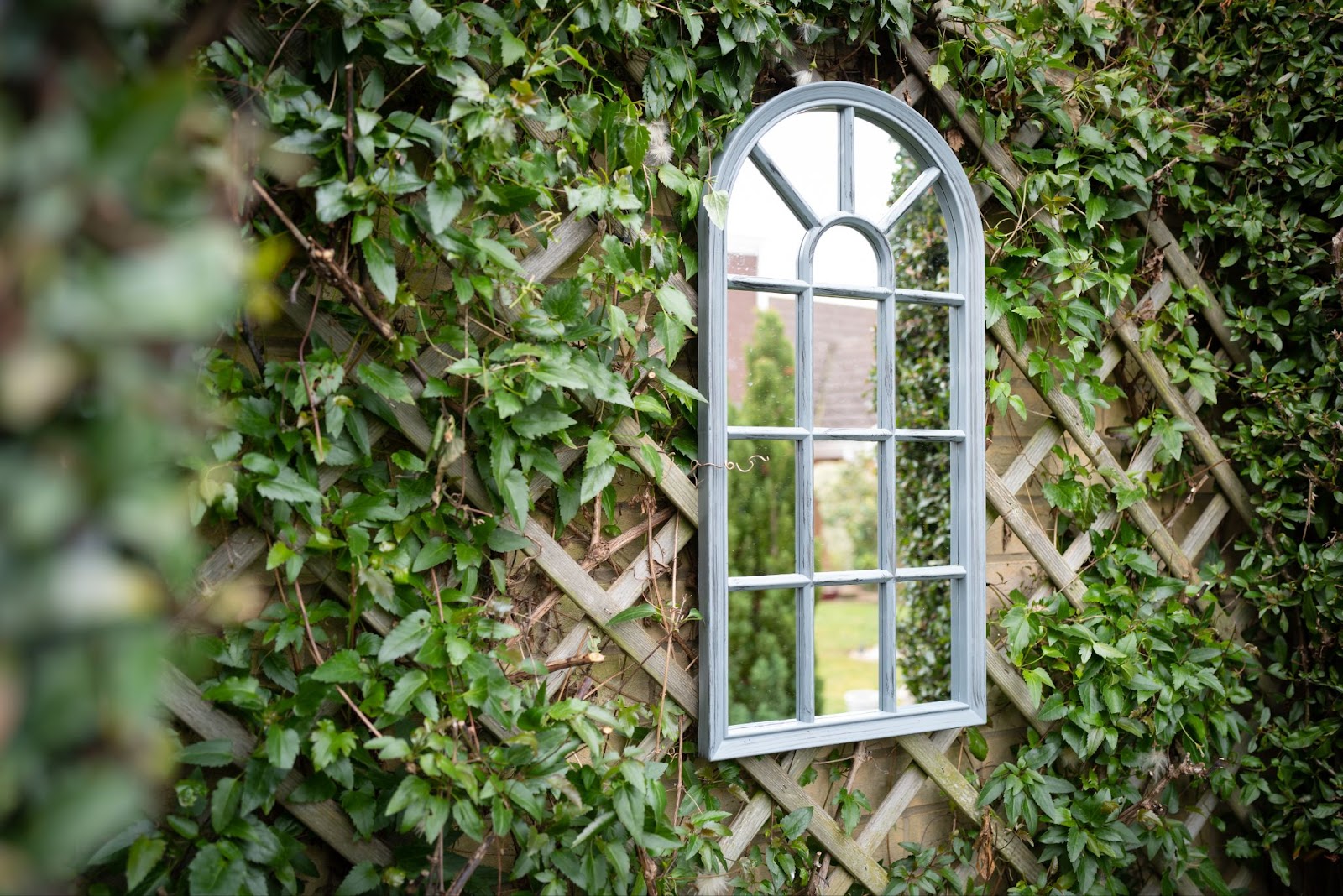 window garden leaf