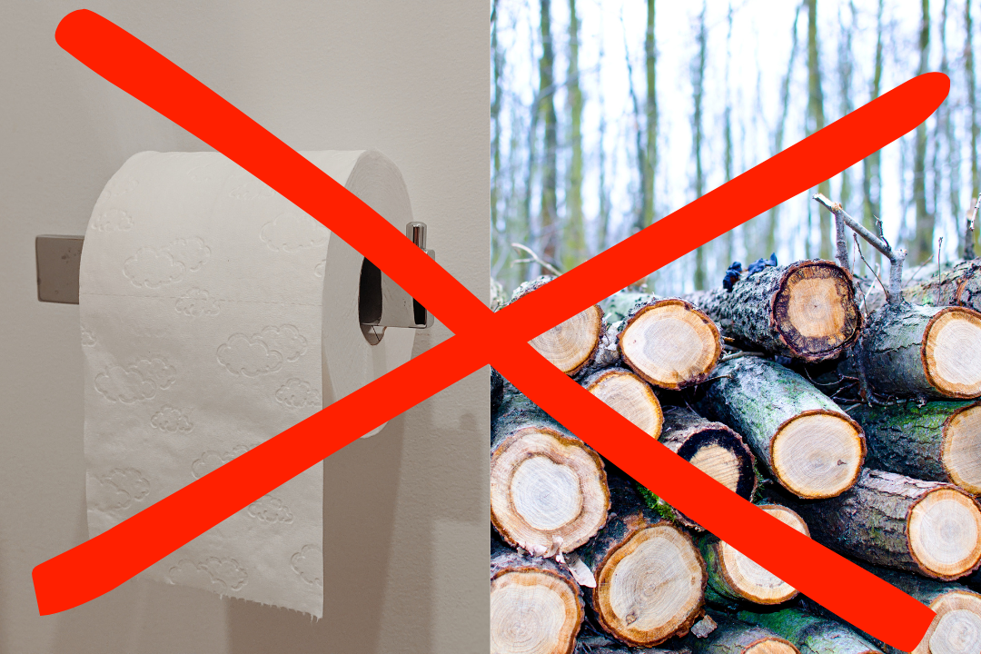 Toilet paper and tree logs crossed out with red X