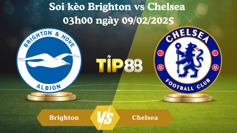 Soi kèo Brighton vs Chelsea 03h00 ngày 09/02/2025