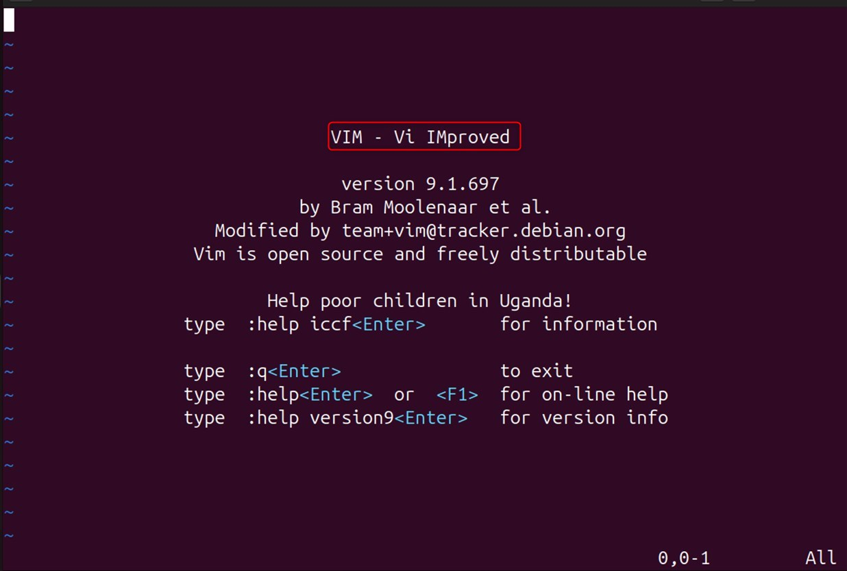 open vim