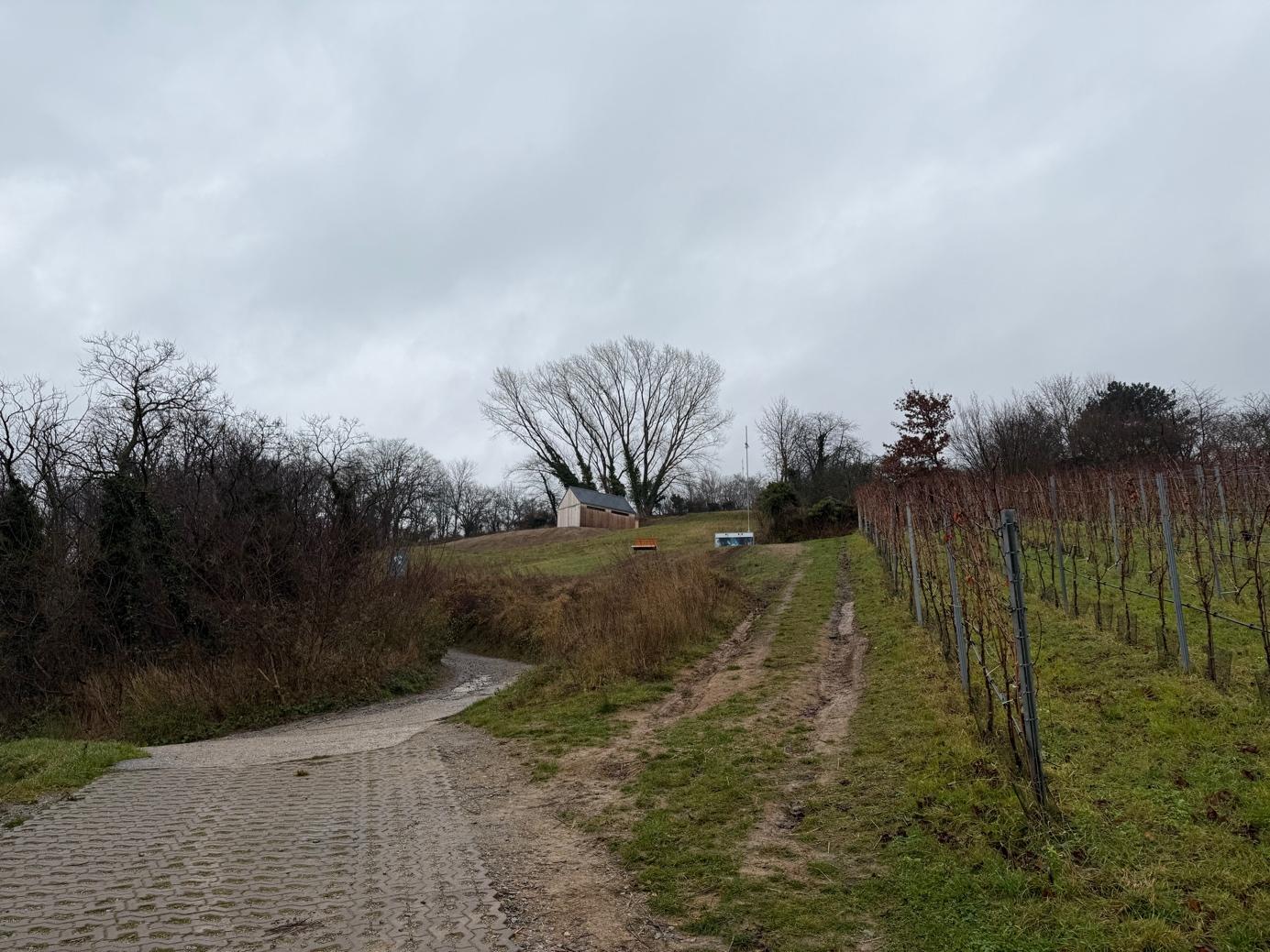 Ein Bild, das draußen, Himmel, Wolke, Gras enthält.

Automatisch generierte Beschreibung