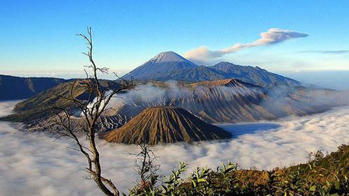 Bromo
