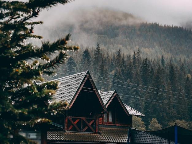 Wide shot of a brown house surrounded by a forest of spruce trees under clouds