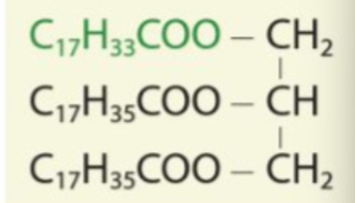 BÀI 25: LIPID VÀ CHẤT BÉO