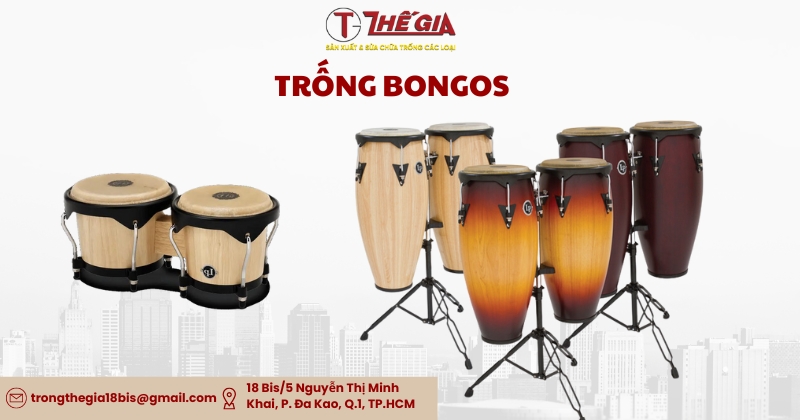 Trong bongos 2