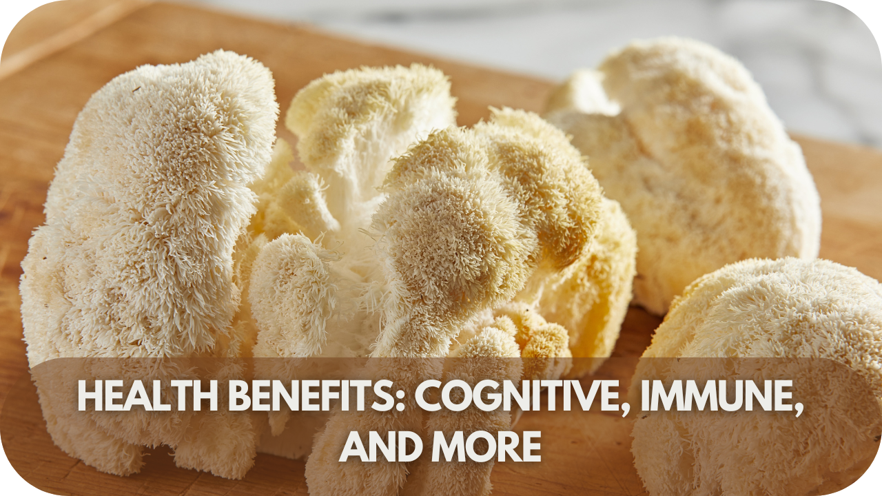 The cognitive and immune-boosting benefits of Lion’s Mane, whether from extracts or whole mushrooms.