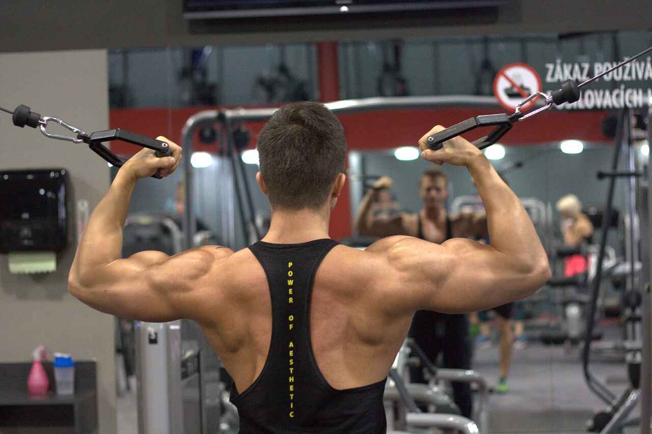 total gym shoulder exercises
