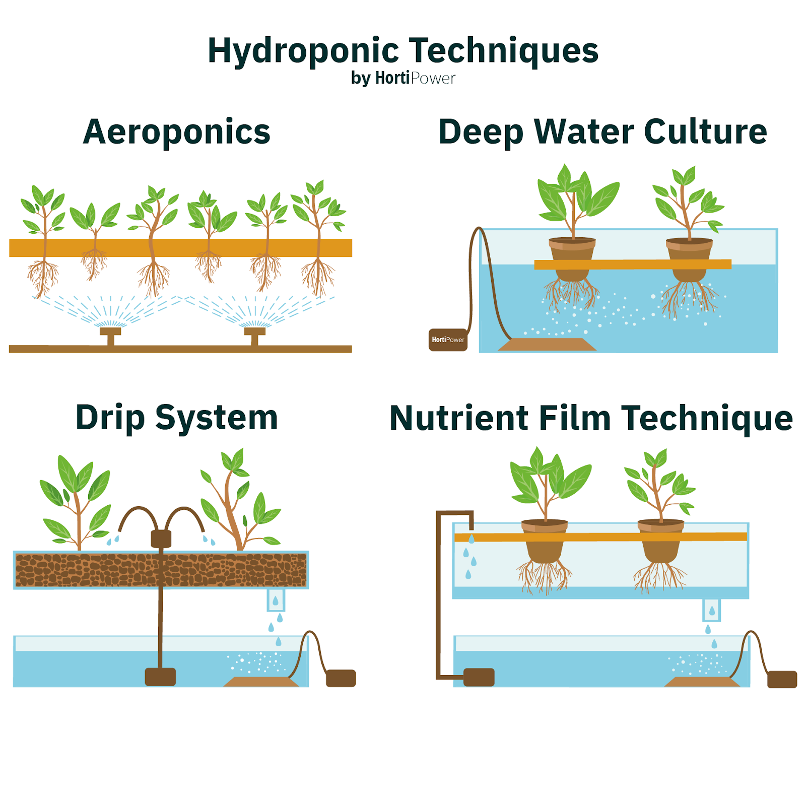 HOME: Hydroponics for beginners | how to get started – HortiPower