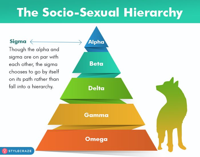 What is a Sigma Male: The Lone Wolf Archetype Explained