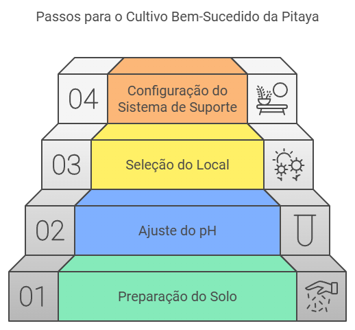 Preparação do solo e condições ideais de cultivo