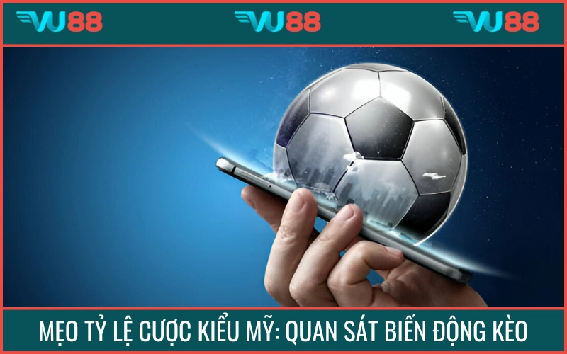 Biến động tỷ lệ mang tới nhiều thông tin