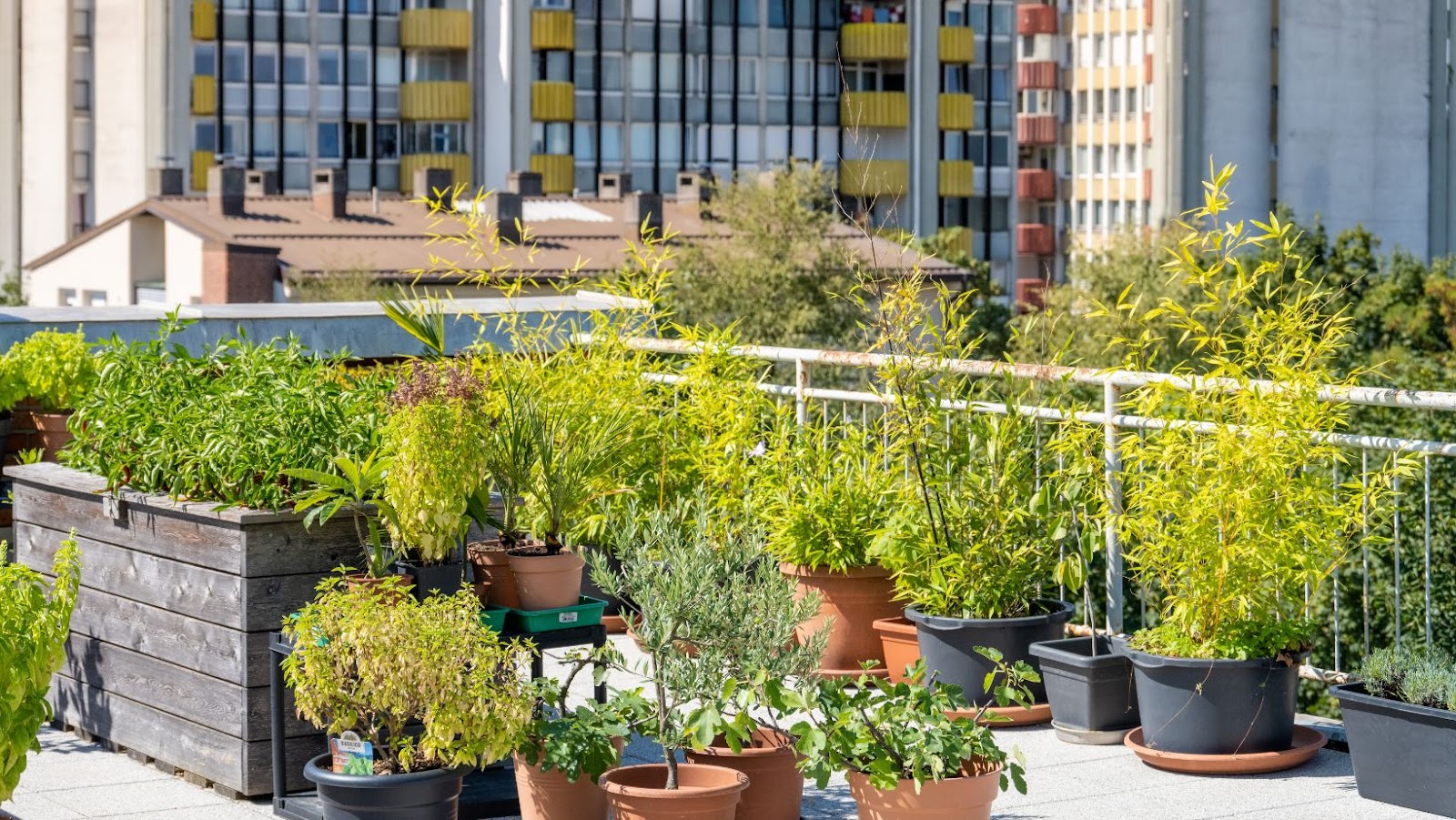 urban farming architecture