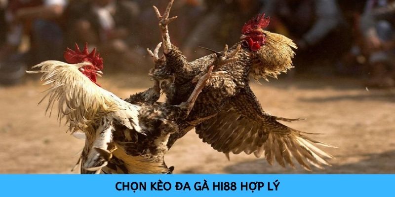 Chọn loại kèo thích hợp là yếu tố quyết định bạn có chiến thắng hay không