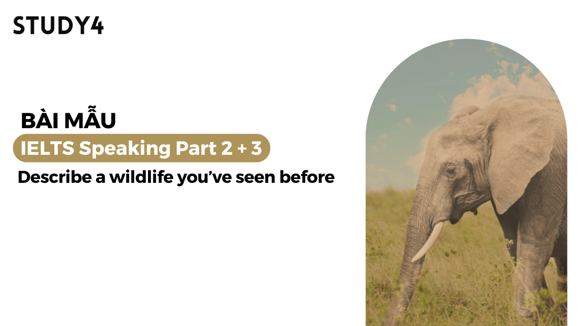 Describe a wildlife you’ve seen before - Bài mẫu IELTS Speaking sample