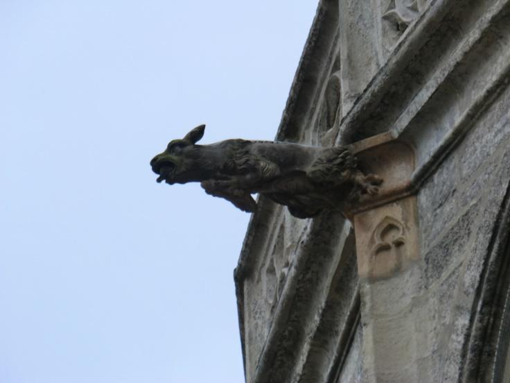 C:\Users\David\Dropbox\MCAA articles\Czech photos\garg3.JPG