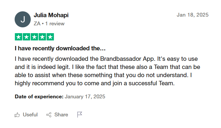 Brandbassador user review