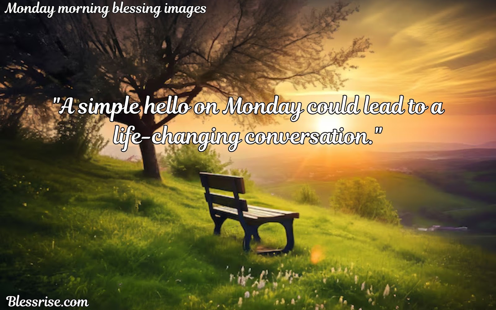 Monday Blessings
