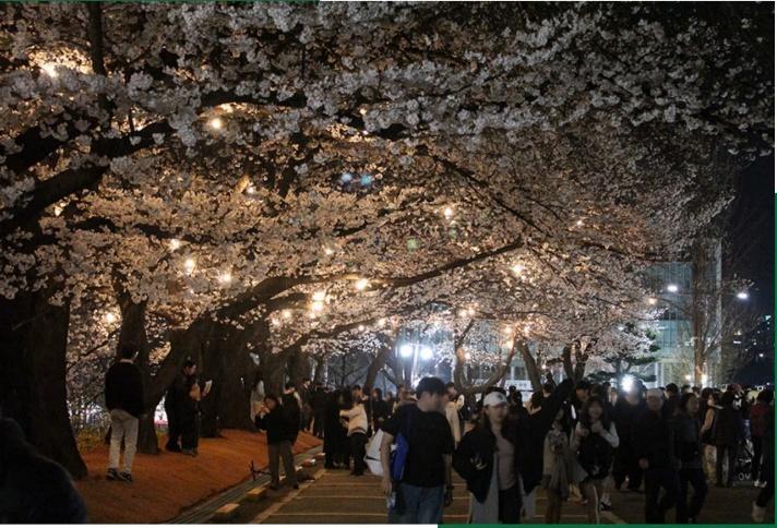 A group of people under a tree

AI-generated content may be incorrect.
