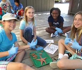 A group of girls sitting on a deck

Description automatically generated