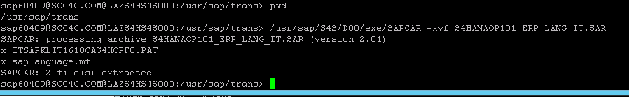 sap6040g@scc4c . COM@LAZS4HS4sooo : / usr/ sap/ trans> 
/ usr/ sap/ trans 
sap6040g@scc4c . COM@LAZS4HS4sooo : / usr/ sap/ trans> 
SAPCAR: processing archive S4HANAOP101 ERP LANG 
/ exe/ SAPCAR 
IT. SAR (version 2.01) 
—xvf 
S4HANAOP101 
ERP 
L ANG 
IT. SAR 
x ITSAPKLIT1610CAS4HOPFO.PAT 
x sap language . mf 
S APC AR: 2 file (s) extracted 
sap6040g@scc4c . COM@LAZS4HS4sooo 
: / usr/ sap/ trans> 