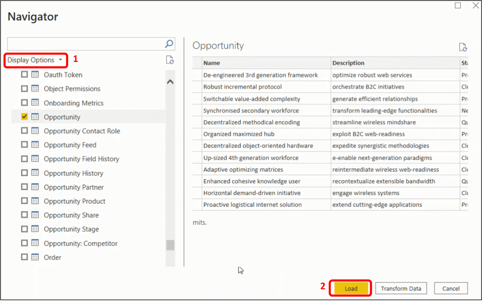 Display Options in Navigator