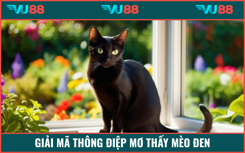 Bật mí ý nghĩa thực sự sau giấc mơ thấy con mèo đen