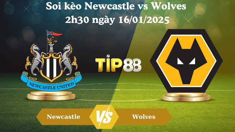Soi kèo Newcastle vs Wolves 2h30 ngày 16/01/2025