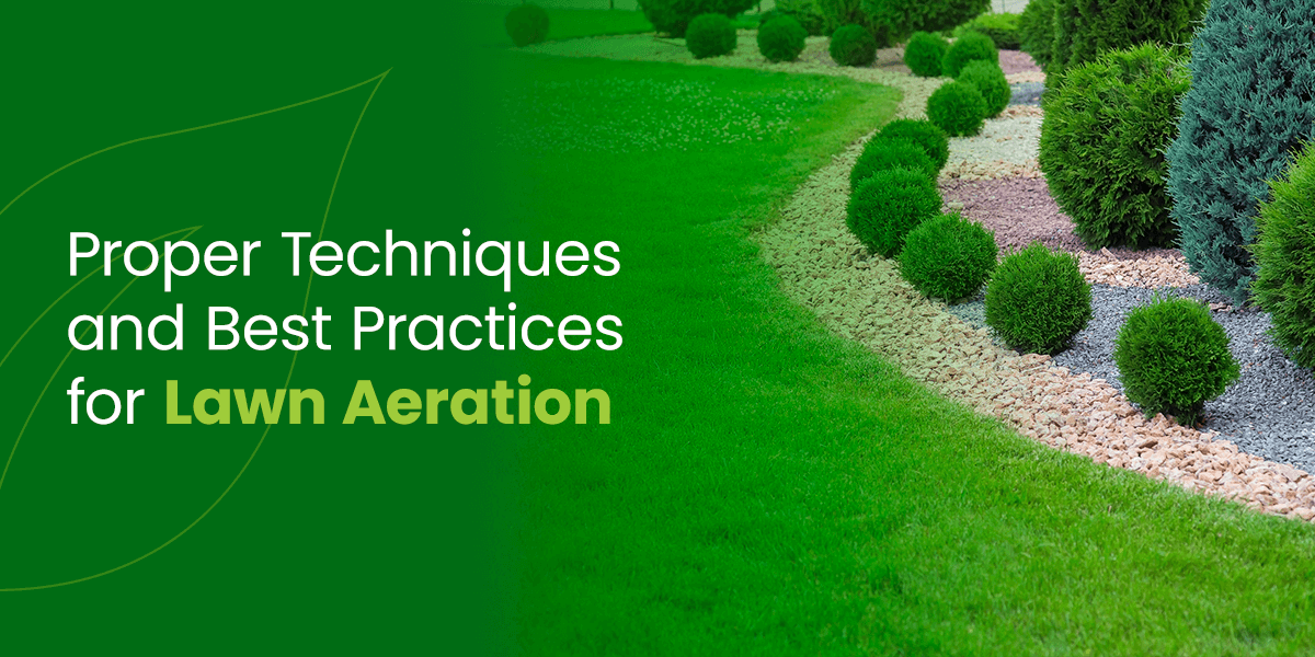 Best Practices for Aeration and Overseeding