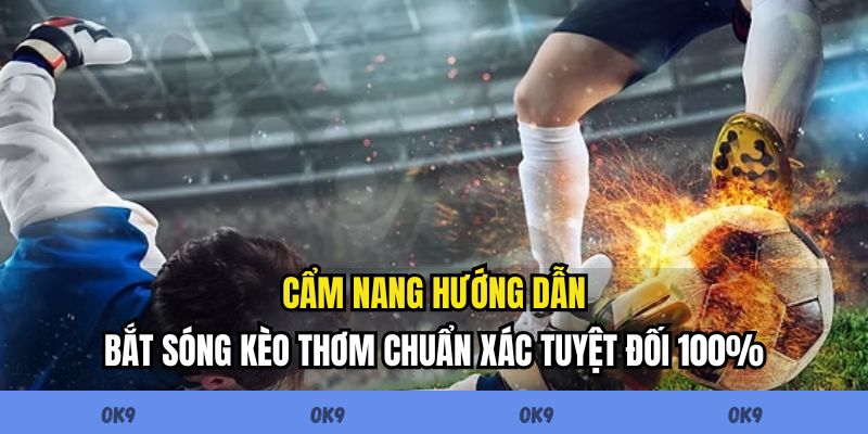 Cẩm nang hướng dẫn bắt sóng kèo thơm chuẩn xác tuyệt đối 100%