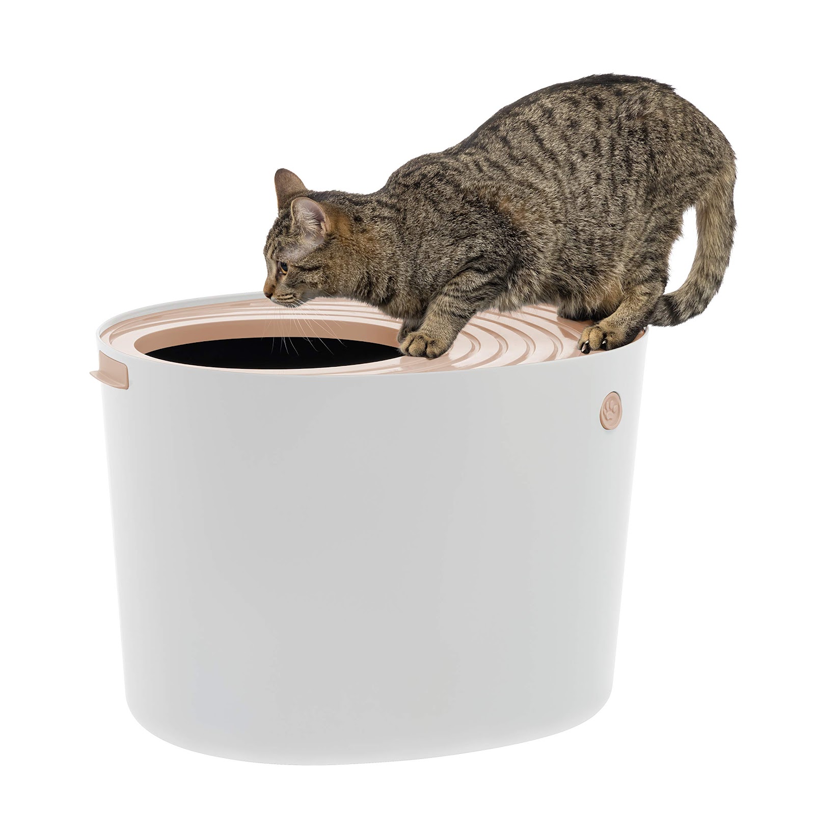 Iris Top Entry Litter Box: Ultimate Cleanliness Guide