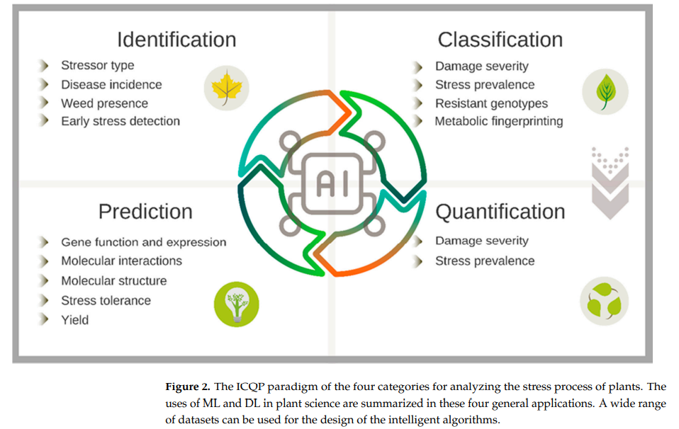 Harnessing AI for Hormesis Management and Plant Stress Analysis: Advancing Agricultural Resilience and Productivity