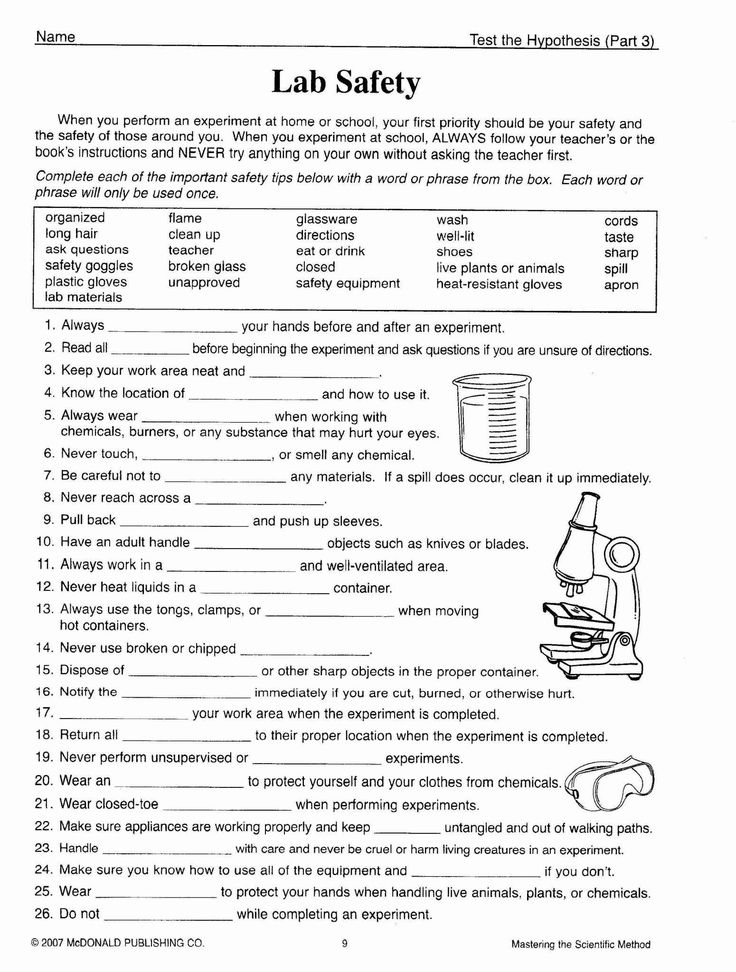 Scientific Method Worksheet High School | Worksheet for Education