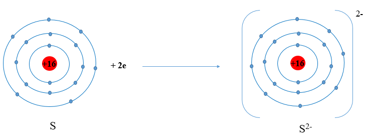 Xác định vị trí của sulfur trong bảng tuần hoàn và vẽ sơ đồ tạo thành ion sulfide
