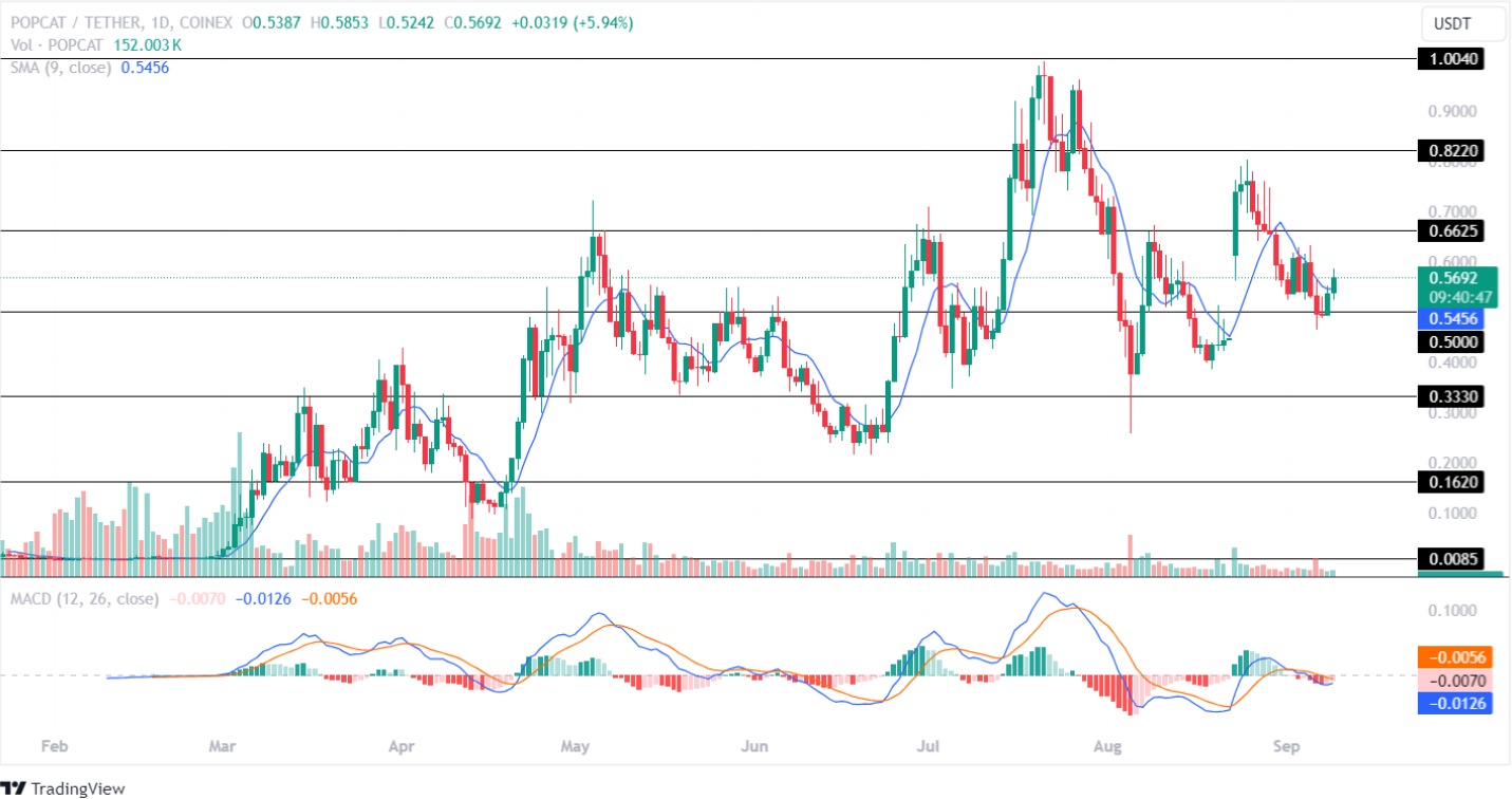 POPCAT Price Analysis September 2024