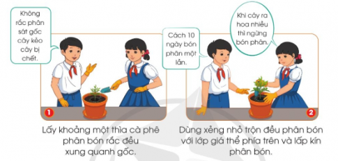 BÀI 6. TRỒNG CÂY VÀ CHĂM SÓC HOA TRONG CHẬU (P1)KHỞI ĐỘNGCâu hỏi: Để chăm sóc cây hoa trong chậu, em cần làm những công việc nào?Giải nhanh:Chuẩn bị vật liệu, vật dụng và dụng cụ.Tưới cây.Bắt sâu.Tỉa cành.1. Trồng và chăm sóc cây hoa cúc chuồn trong chậua. Vật liệu, vật dụng và dụng cụKHÁM PHÁ 1Câu hỏi: Quan sát các hình dưới đây, kể tên các vật liệu, vật dụng, dụng cụ để trồng và chăm sóc cây hoa cúc chuồn trong chậu.Giải nhanh:Cây con.Chậu và đĩa lót.Sỏi dăm.Giá thể.Phân bón NPK.Xẻng nhỏ.Bình tưới cây.Găng tay.Kéo cắt cành.b. Trồng cây hoa cúc chuồn trong chậuKHÁM PHÁ 2Câu hỏi: Quan sát hình và mô tả các thao tác trồng cây hoa cúc chuồn trong chậu.Giải nhanh:1. Dùng xẻng nhỏ xúc sỏi dăm đổ xuống đáy chậu.2. Dùng xẻng nhỏ xúc giá thể đổ vào chậu, cách miệng chậu 2cm - 3cm.3. Dùng xẻng nhỏ tạo một hốc ở giữa chậu, sâu khoảng 5cm.4. Đặt cây con hoa cúc chuồn đứng thẳng vào giữa hốc.5. Lấp giá thể vừa kín gốc và rễ, ấn nhẹ giá thể xung quanh gốc cây cho chắc chắn.6. Tưới nước đủ ẩm xung quanh gốc cây.THẢO LUẬN 1Câu hỏi: Để sỏi dăm xuống đáy chậu có tác dụng gì?Giải nhanh:Để sỏi dăm xuống đáy giúp cho nước dễ dàng lưu thông, đồng thời giữ đất không để nó tràn ra khỏi chậu.c. Chăm sóc cây hoa cúc chuồn trong chậuCung cấp ánh sángKHÁM PHÁ 3Câu hỏi: Quan sát hình và thông tin gợi ý dưới đây, em hãy cho biết vì sao cần cung cấp đầy đủ ánh sáng cho hoa.Giải nhanh:Vì chậu hoa không được cung cấp đầy đủ ánh sáng nên cây không khỏe mạnh, trông gầy và yếu.Tưới nướcKHÁM PHÁ 4Câu hỏi: Dựa vào hình và thông tin dưới đây, em hãy cho biết:1. Dùng dụng cụ nào để tưới nước?2. Nên tưới nước như thế nào cho hợp lí?Giải nhanh:1. Dùng bình tưới cây để tưới nước.2. Nên tưới nước nhẹ nhàng, đủ ẩm vào sáng sớm và chiều muộn.THẢO LUẬN 2Câu hỏi: Vì sao nên tưới nước nhẹ nhàng cho cây hoa?Giải nhanh:Vì tác động mạnh làm cây hoa bị gãy, dập.Bón phânKHÁM PHÁ 5Câu hỏi: Quan sát hình và đọc thông tin dưới đây, em hãy mô tả công việc phân bón cho cây hoa cúc chuồn trồng trong chậu.Giải nhanh:1. Lấy khoảng một thìa cà phê phân bón rắc đều xung quanh gốc 2. Dùng xẻng nhỏ trộn đều phân bón với lớp giá thể phía trên và lấp kín phân bónTHẢO LUẬN 3Câu hỏi: Vì sao không nên bón phân sát gốc cây?Giải nhanh:Vì bón sát gốc cây, cây dễ bị chết.BÀI 6. TRỒNG CÂY VÀ CHĂM SÓC HOA TRONG CHẬU (P2)