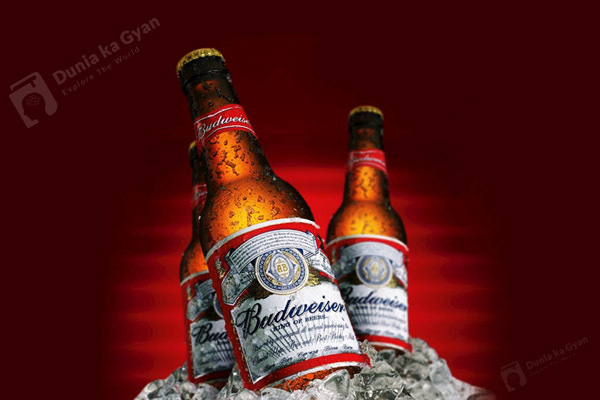 Budweiser Beer