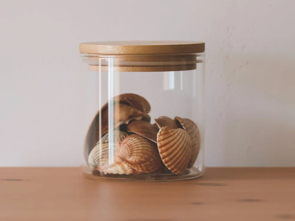 seashells in a glass jar