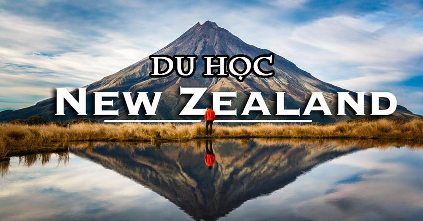 Du học New Zealand 2024: Điều kiện, chi phí, học bổng