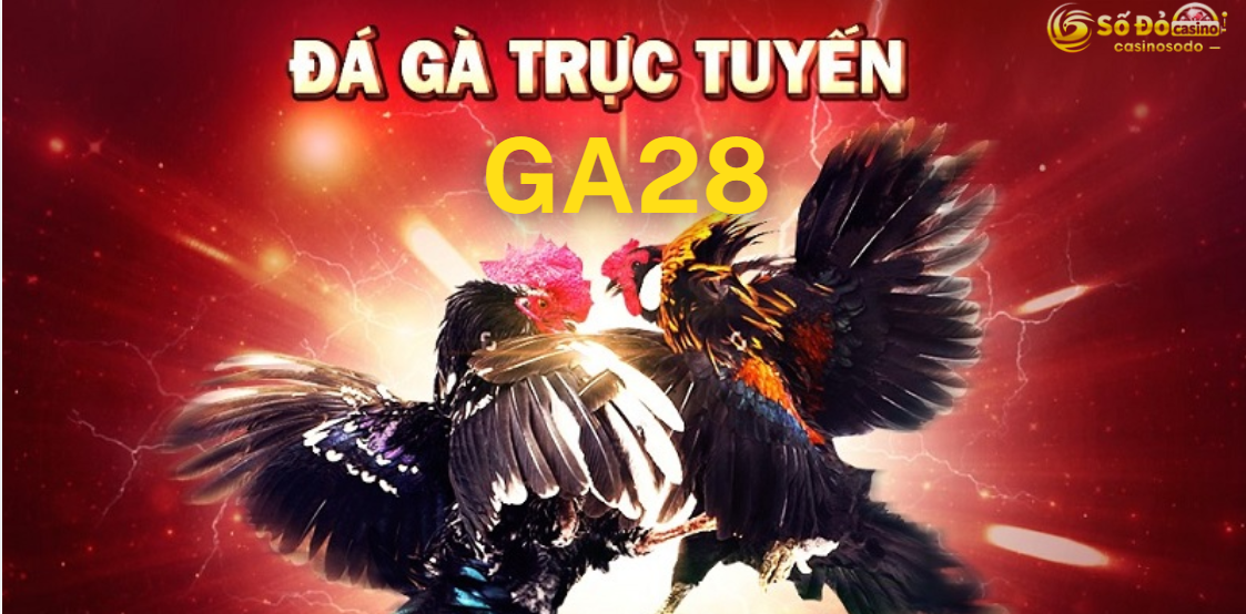 Đá Gà SODO CASINO: Trải Nghiệm Cảm Giác Hồi Hộp Từ Những Trận Đấu Kịch Tính