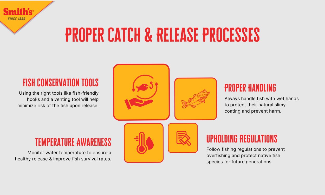 infographic outlines proper catch and release practices