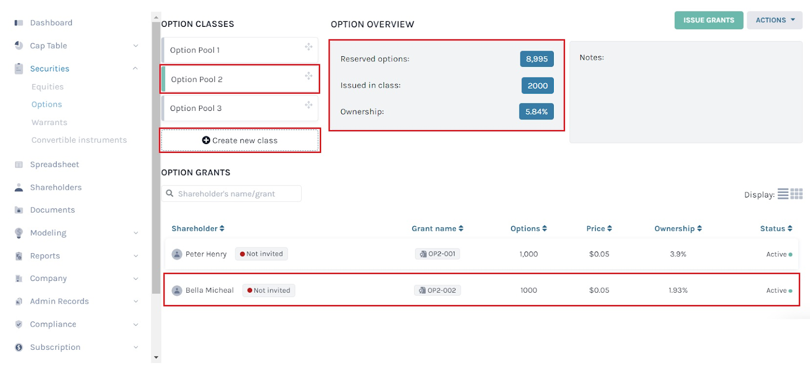 option grants 