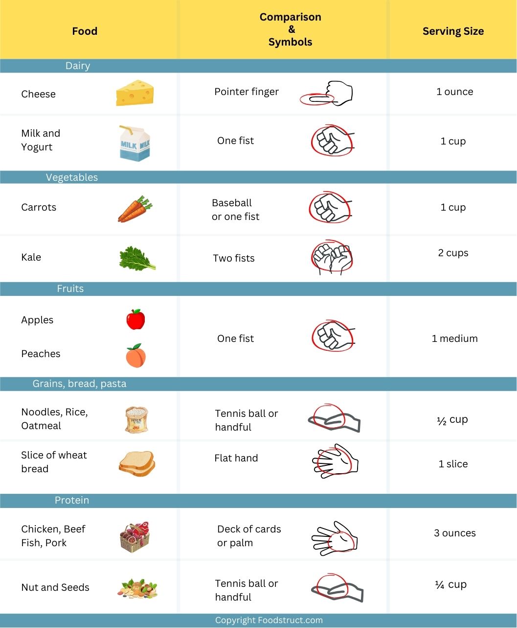 portion of food by hand size