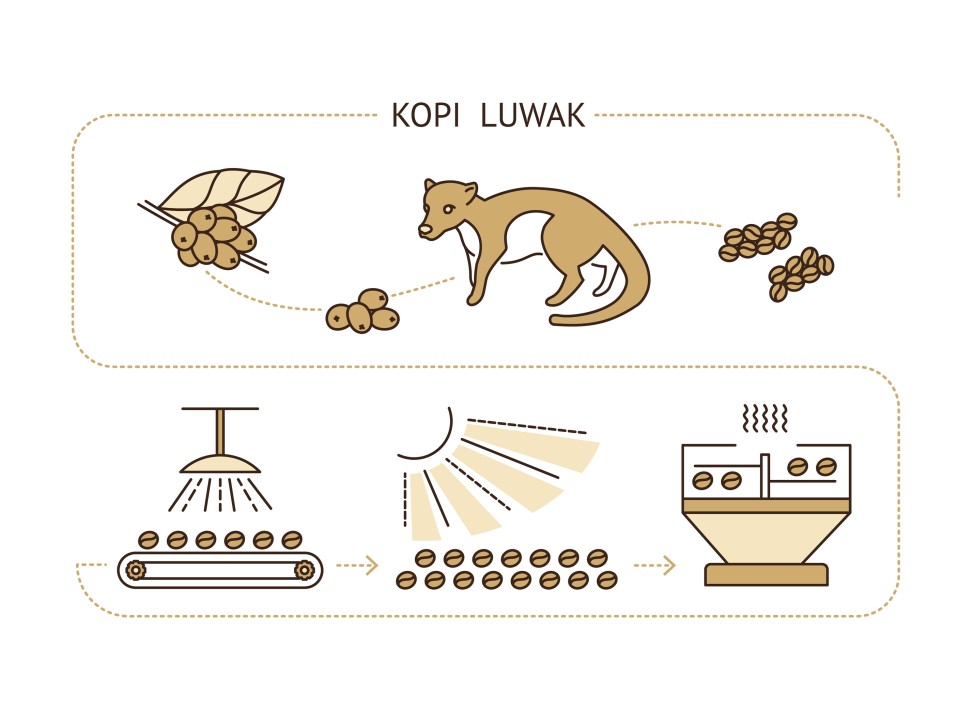 Luwak coffee