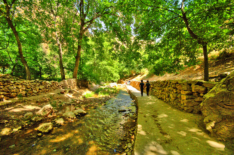 Scenic view of Akhlamad village in Iran, featuring a peaceful path beside a flowing stream, surrounded by lush greenery, trees, and stone walls, offering a tranquil natural environment.