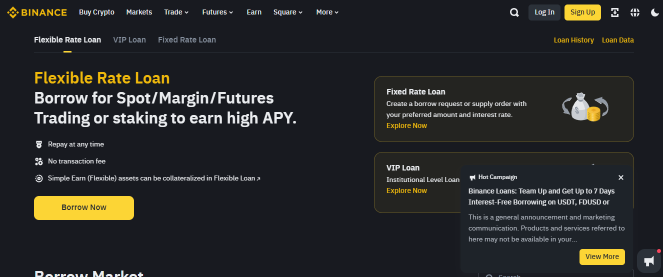 Binance Loans