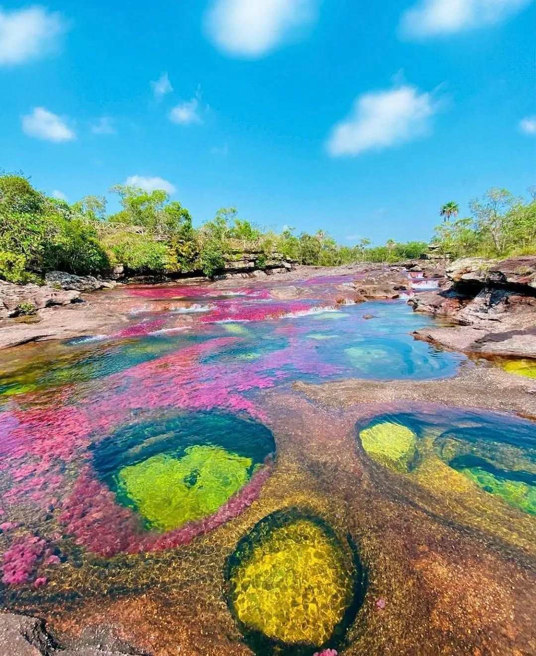  Caño Cristales