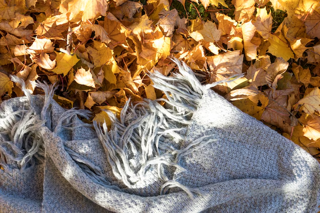 garden bed cover