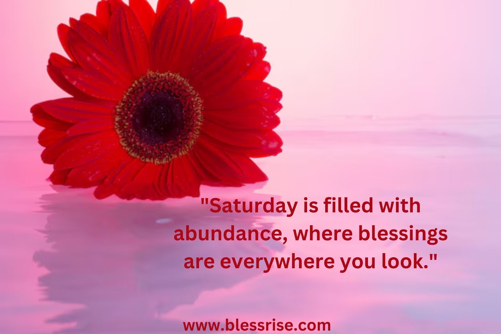 Saturday Overflowing Blessings