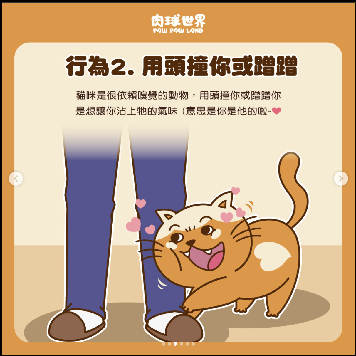 ● 行為（2）：貓咪用頭撞你或蹭蹭